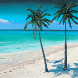 Palm Island I