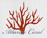 Buy Atlantic Coral at AllPosters.com