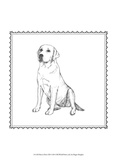 Best in Show XII