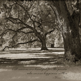 Buy Happiness Within at AllPosters.com