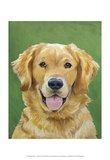 Dog Portrait, Golden