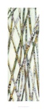 Buy Lemongrass IV at AllPosters.com