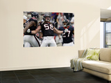 Houston Texans and Cincinnati Bengals: Brooks Reed, Quintin Demps