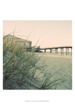 Buy Summer of '76 III at AllPosters.com