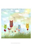 Owl Land