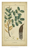 Buy Vintage Turpin Botanical VII at AllPosters.com