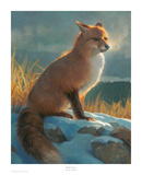 Buy Backlit Beauty at AllPosters.com