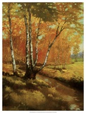 Buy Woodland Stream I at AllPosters.com