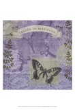Buy Butterfly Notes III at AllPosters.com