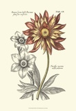Tinted Floral III