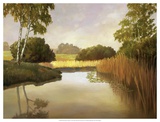 Buy Reeds, Birches and Water I at AllPosters.com