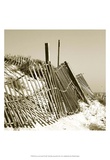 Fences in the Sand I