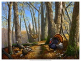 Buy Along the Fence at AllPosters.com