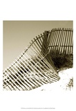 Fences in the Sand III
