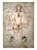 Buy Zodiacal Man, 14Th Century at AllPosters.com