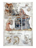 First Decanus Of Virgo