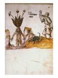 Buy Mandrake, C1500 at AllPosters.com