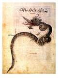 Astronomy: Arabic Ms