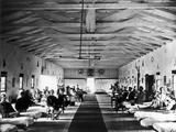 Buy Civil War: Hospital, 1865 at AllPosters.com