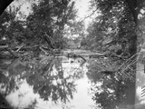Civil War: Bull Run, 1861