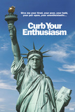 Curb Your Enthusiasm - Season 8 Poster