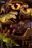 Dinosaurs - Natural History Museum
