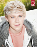 Buy One Direction-Niall at AllPosters.com
