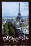 Paris Window