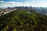 Central Park New York