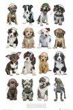 Kimberlin-Puppies Head Phones