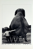 My Pal the Elephant