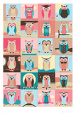Owls-Compilation