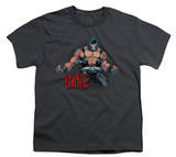 Youth: Batman - Bane Flex