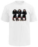 Buy Three chimpanzees at AllPosters.com