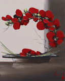 Buy Plume Orchid II at AllPosters.com