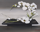 Happiness of White Orchid II