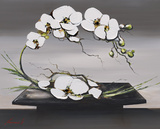 Buy Happiness of White Orchids I at AllPosters.com