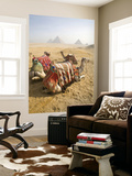 Buy Resting Camels Gaze Across the Desert Sands of Giza, Cairo, Egypt at AllPosters.com
