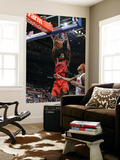 Toronto Raptors v Detroit Pistons: Amir Johnson and Charlie Villanueva