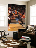 Charlotte Bobcats v Miami Heat: Shaun Livingston and Dwyane Wade