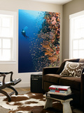 Buy Diver With Light Next To Vertical Reef Formation, Pantar Island, Indonesia at AllPosters.com