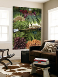 Buy Vegetable Stall at Saturday Market, Salamanca Place, Hobart, Tasmania, Australia at AllPosters.com