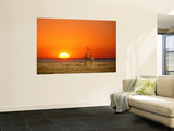 Giraffes Stretch their Necks at Sunset, Ethosha National Park, Namibia