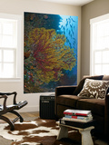 Buy Colorful Sea Fan Or Gorgonian Coral, Raja Ampat, Indonesia at AllPosters.com