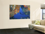 Buy Diver Inspects Reef, Raja Ampat, Papua, Indonesia at AllPosters.com