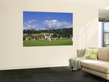 Buy Cricket on Village Green, Surrey, England at AllPosters.com