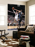 Kirk Hinrich and Hedo Turkoglu