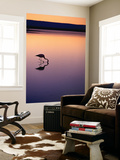 Buy Flamingo Silhouetted at Sunset in Laguna Chaxa at AllPosters.com
