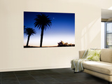 Buy Sydney Opera House at Dawn with Trees in Silhouette at AllPosters.com