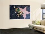 Little Dog Visiting Donald Duck's Star on Hollywood Walk of Fame